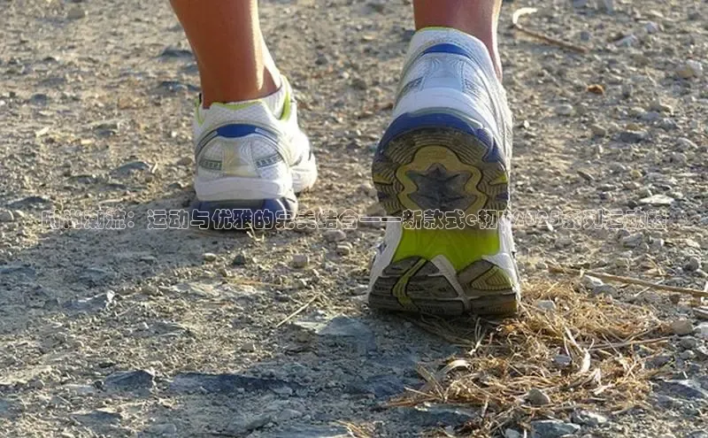 7790必发集团官网