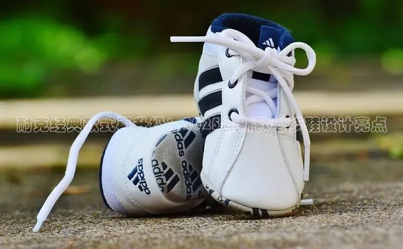 必发7790电子集团